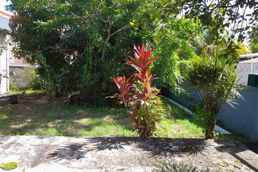 סנט-רוז La Petite Maison, Spacieuse, Avec Jardin / Parking מראה חיצוני תמונה